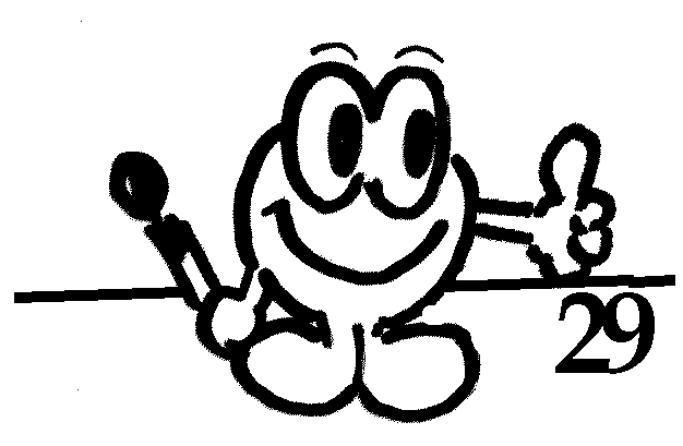 Seite 29