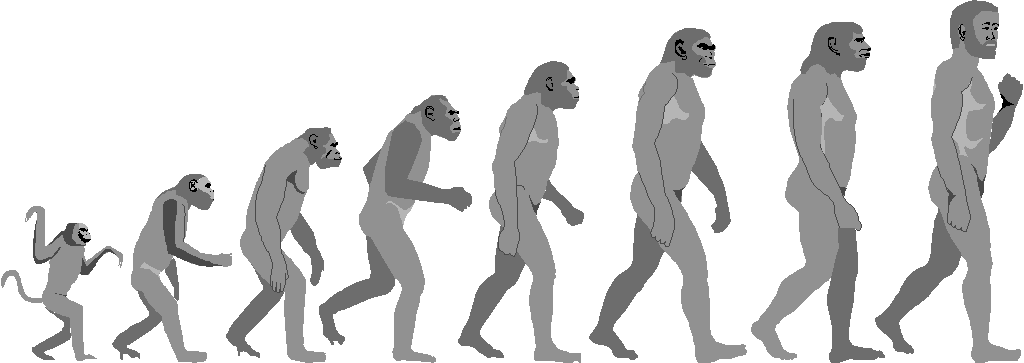 The Evolution Logo